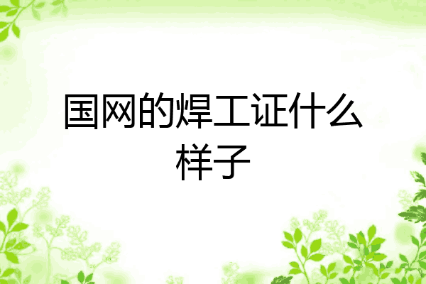 国网的焊工证什么样子