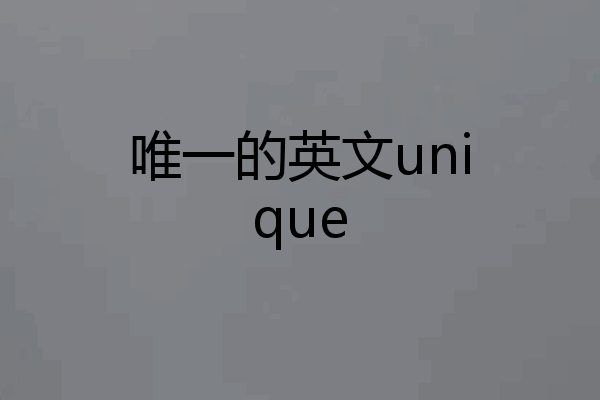 唯一的英文unique