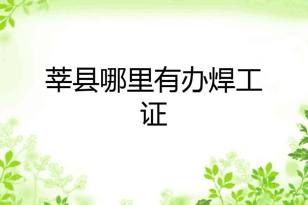 莘县哪里有办焊工证