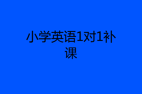 小学英语1对1补课