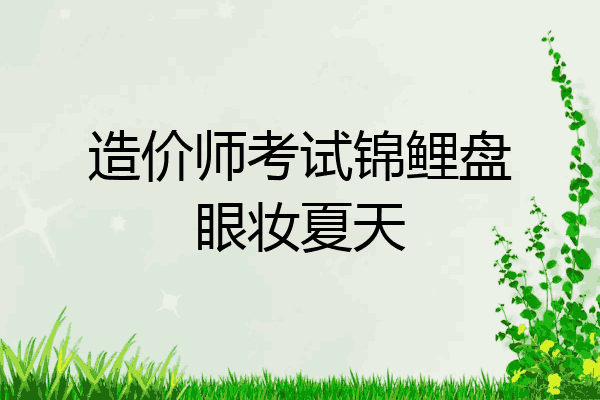 造价师考试锦鲤盘眼妆夏天