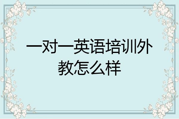 一对一英语培训外教怎么样