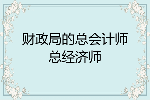 财政局的总会计师总经济师