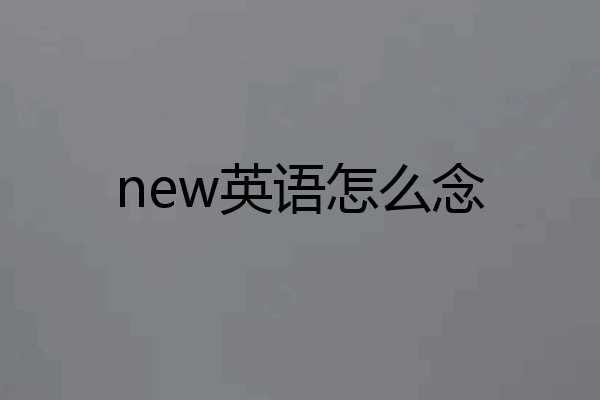 new英语怎么念