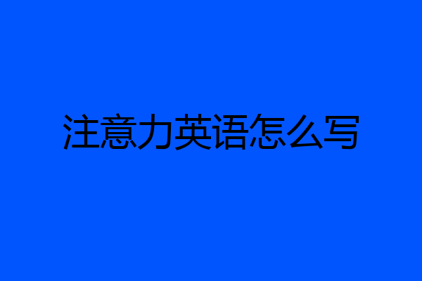 注意力英语怎么写