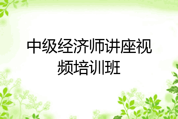 中级经济师讲座视频培训班