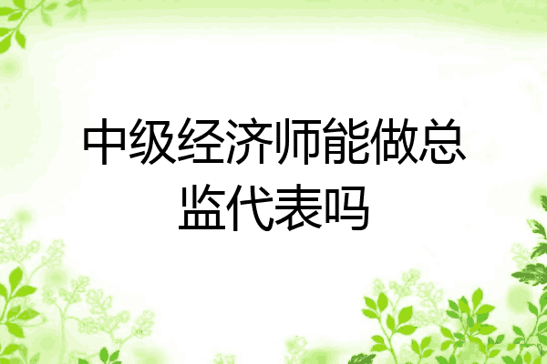 中级经济师能做总监代表吗