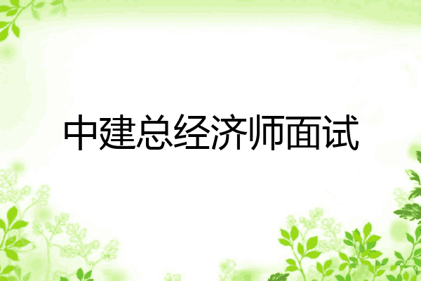 中建总经济师面试