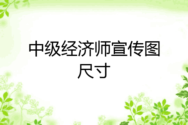 中级经济师宣传图尺寸