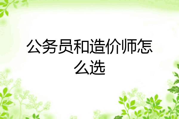 公务员和造价师怎么选