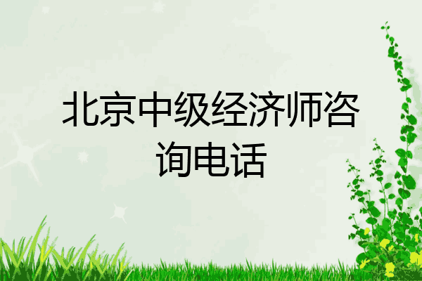 北京中级经济师咨询电话