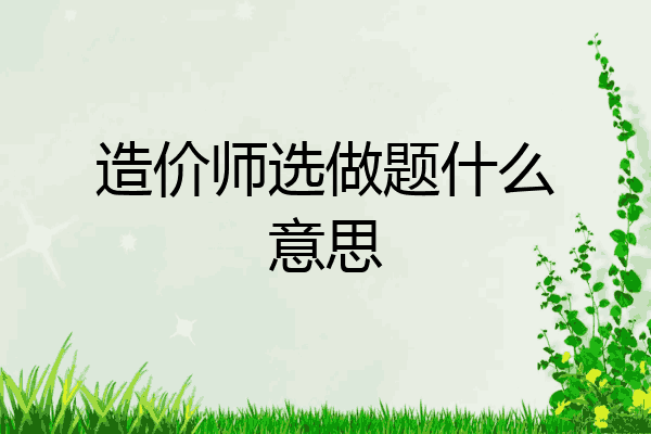 造价师选做题什么意思