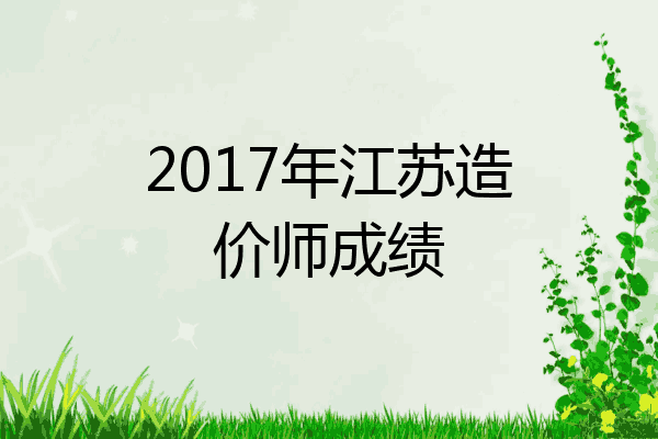 2017年江苏造价师成绩