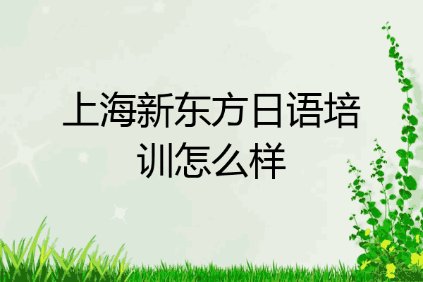 上海新东方日语培训怎么样