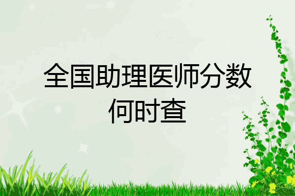 全国助理医师分数何时查