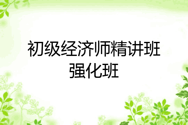初级经济师精讲班强化班