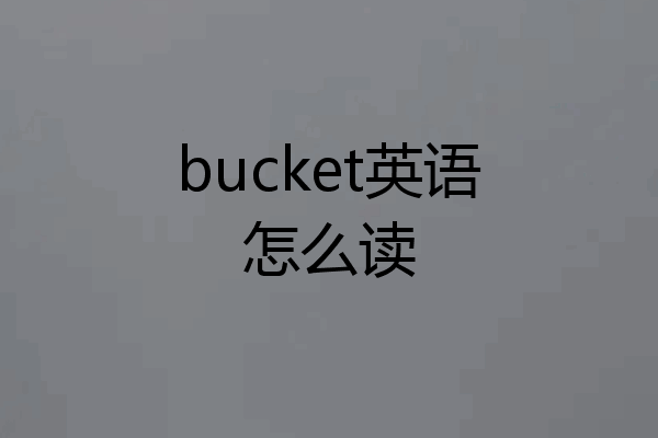 bucket英语怎么读