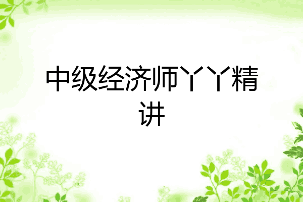 中级经济师丫丫精讲