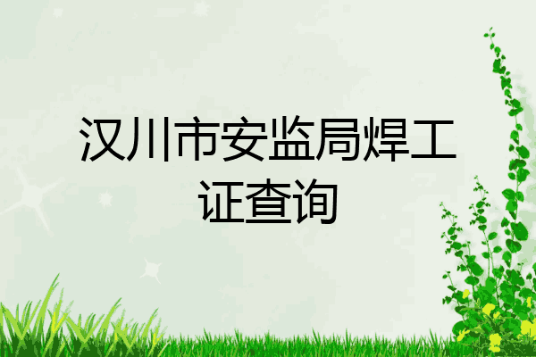 汉川市安监局焊工证查询