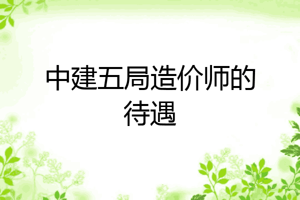 中建五局造价师的待遇