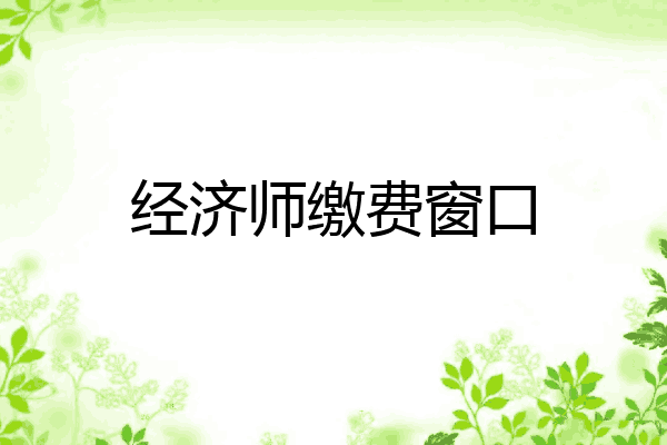 经济师缴费窗口
