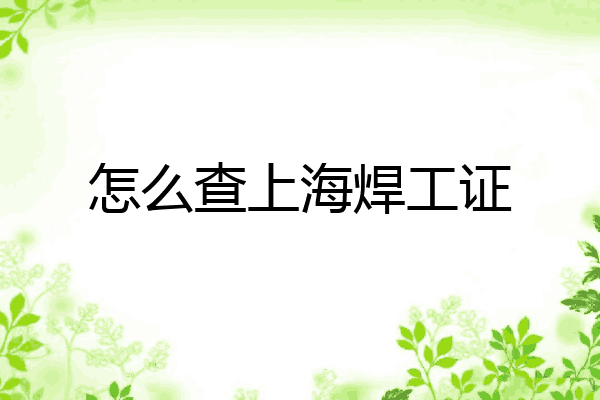 怎么查上海焊工证