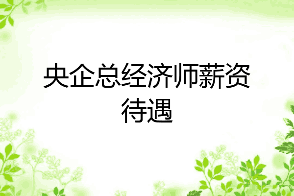 央企总经济师薪资待遇