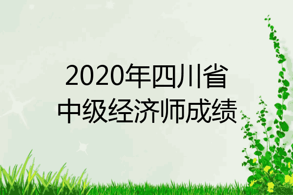 2020年四川省中级经济师成绩