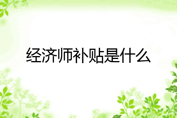 经济师补贴是什么