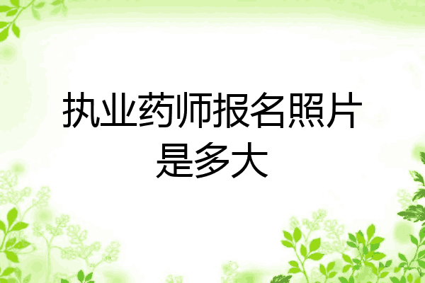 执业药师报名照片是多大