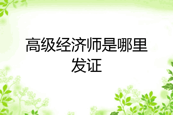 高级经济师是哪里发证