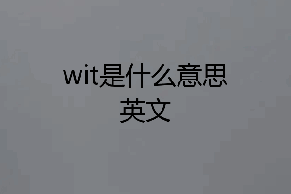 wit是什么意思英文