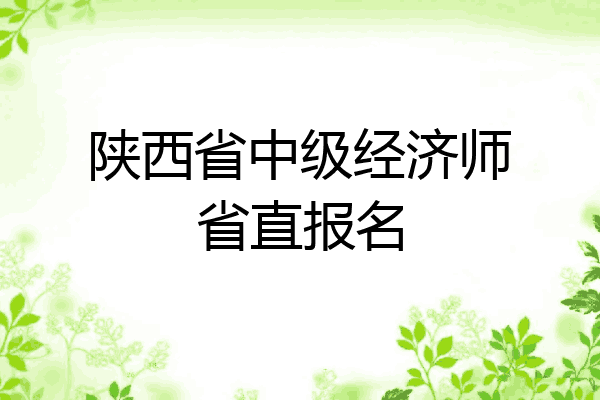 陕西省中级经济师省直报名