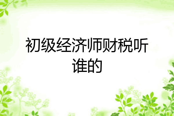 初级经济师财税听谁的