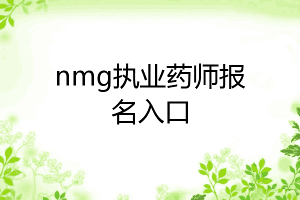 nmg执业药师报名入口