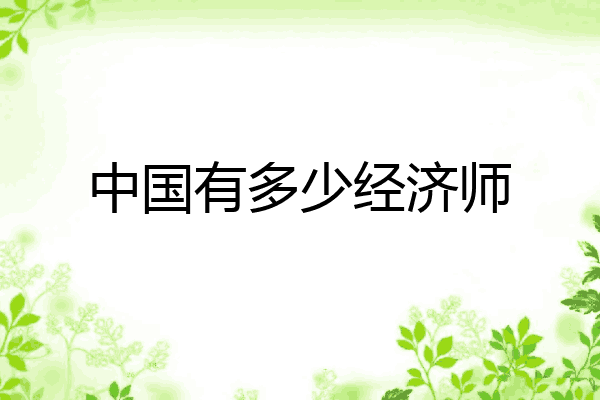 中国有多少经济师