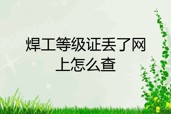 焊工等级证丢了网上怎么查