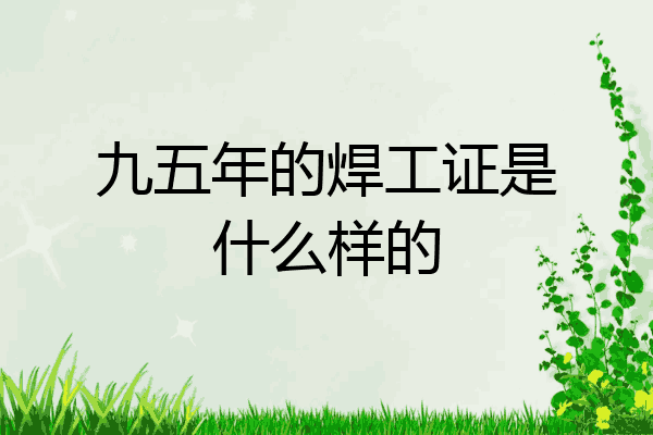 九五年的焊工证是什么样的