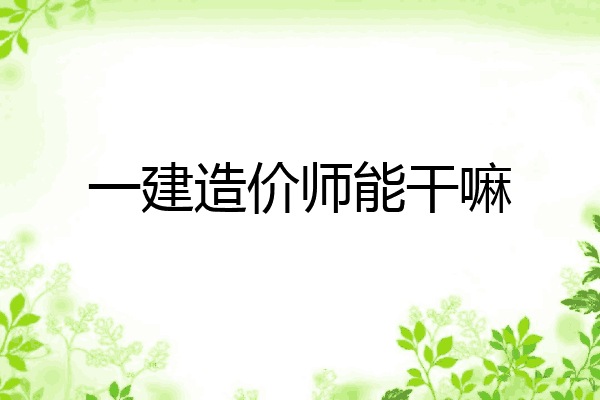 一建造价师能干嘛