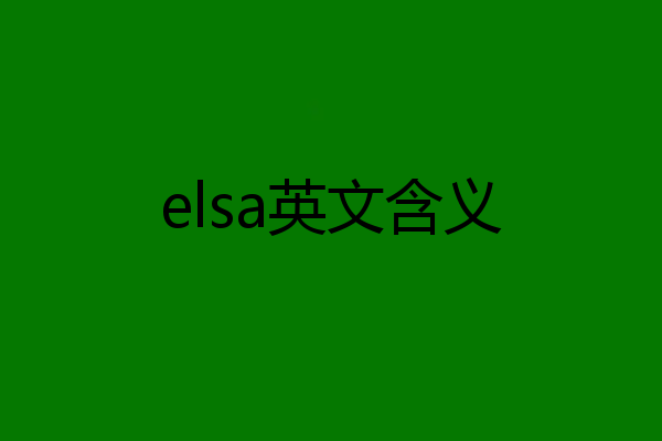 elsa英文含义