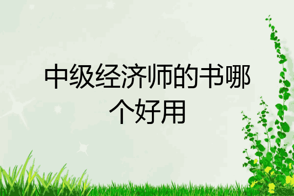 中级经济师的书哪个好用