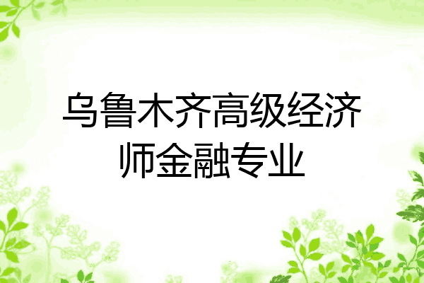 乌鲁木齐高级经济师金融专业