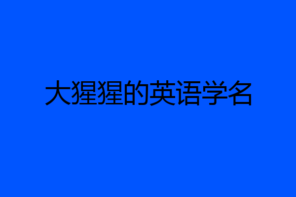 大猩猩的英语学名