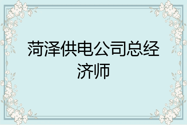 菏泽供电公司总经济师
