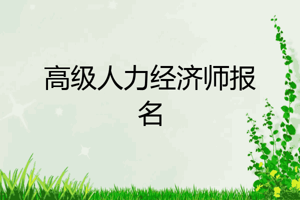 高级人力经济师报名