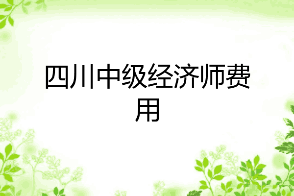 四川中级经济师费用