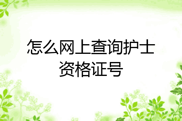 怎么网上查询护士资格证号