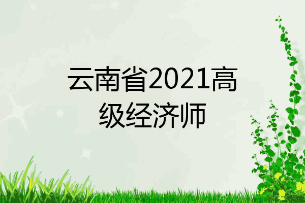 云南省2021高级经济师