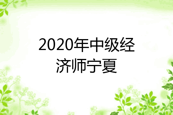 2020年中级经济师宁夏