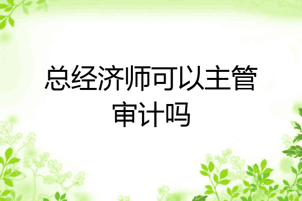总经济师可以主管审计吗